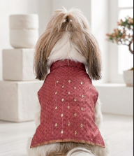 Occasion Wear