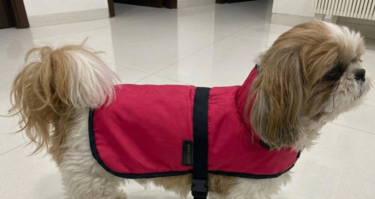 No-Escape Harness