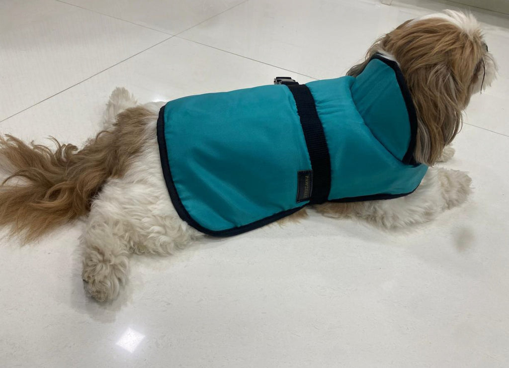 No-Escape Harness