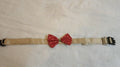 White base - Red bow Occassion Wear Collar