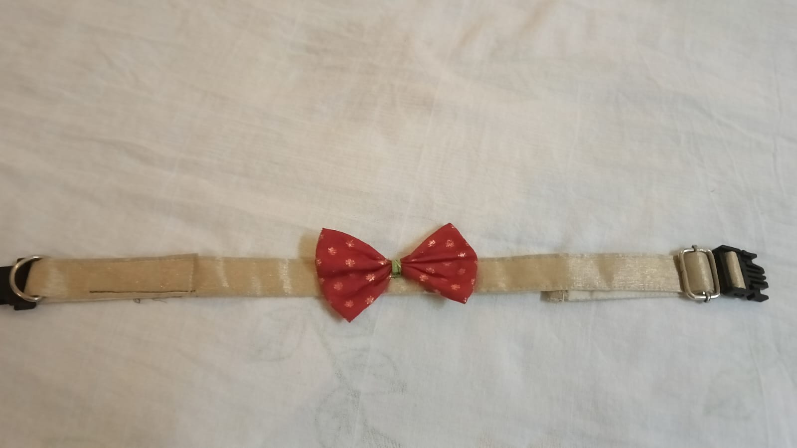 White base - Red bow Occassion Wear Collar