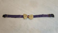 Purple pink strips base - Beige with Gold print bow Occassion Wear Collar