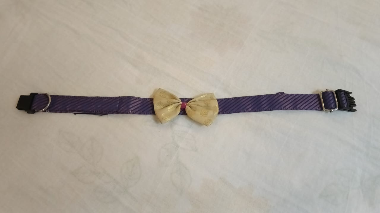 Purple pink strips base - Beige with Gold print bow Occassion Wear Collar