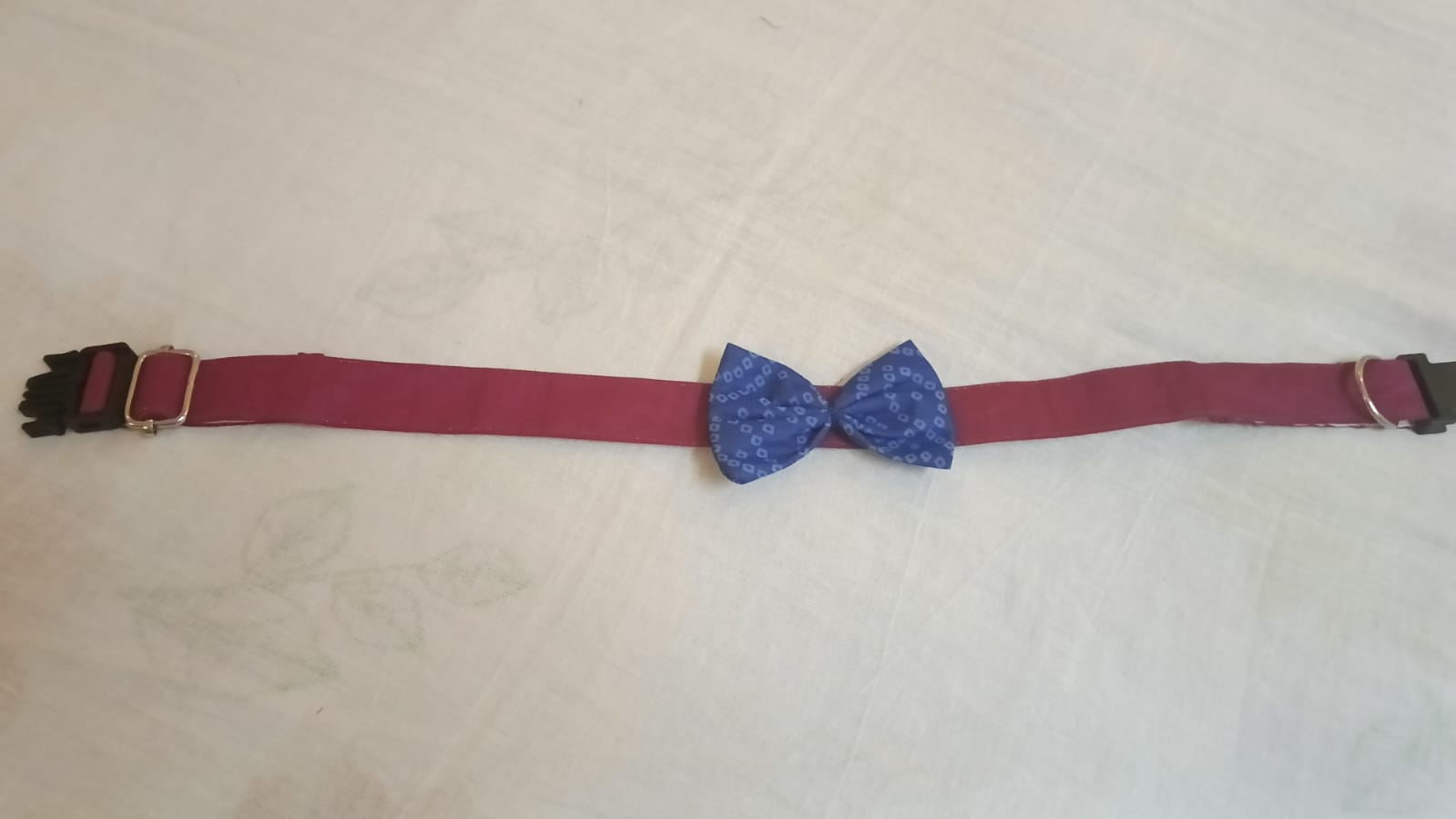 Pink base - Blue bow Occassion Wear collar