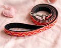 Love in Pink Leash