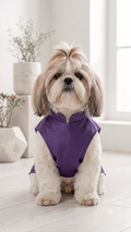 Violet Occassion Wear Sherwani